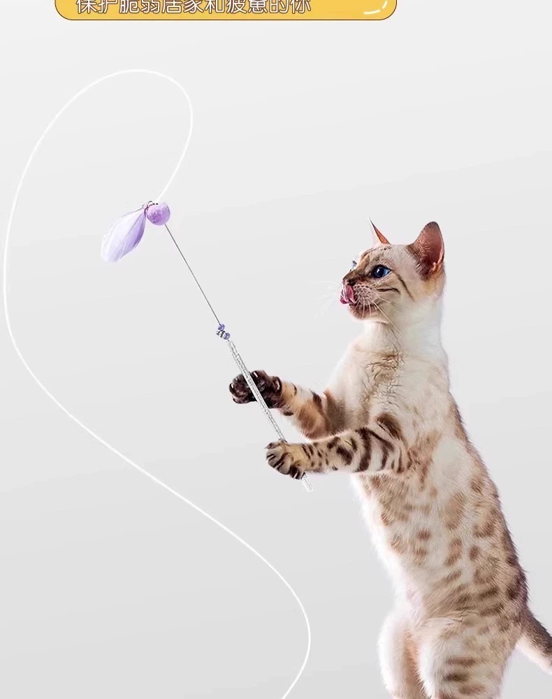 Katzenspielzeug mit quietschenden Vögeln und Mäusen