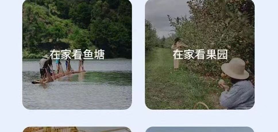 Solar-powered 4G camera, 360° panoramic, mobile app, waterproof