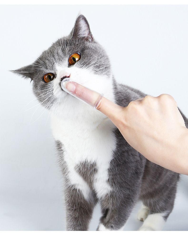 Kedi ve köpek diş temizleme fırçası, parmak tipi