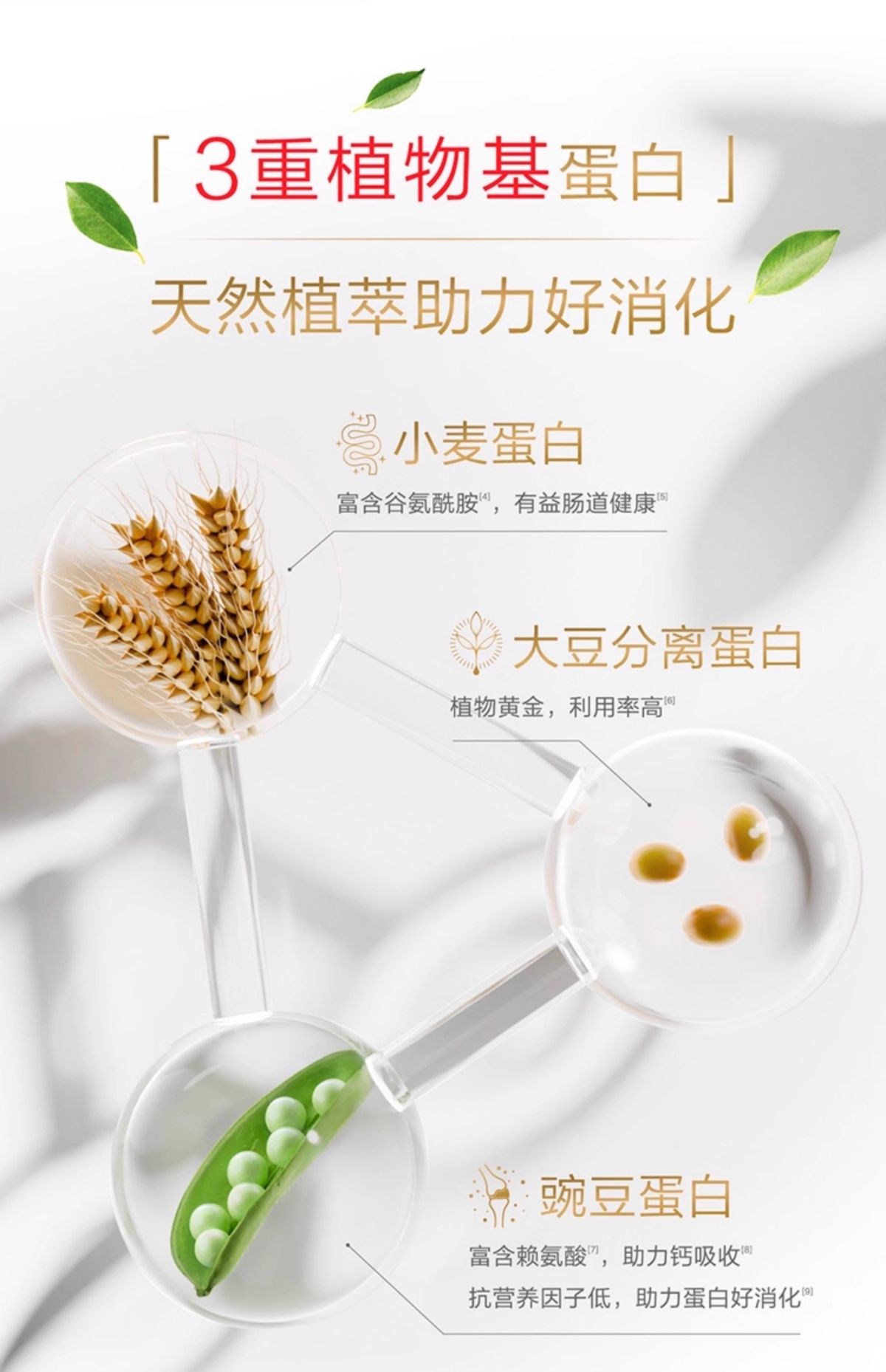 Plant protein powder soy and pea, for men and women