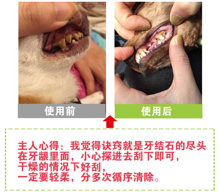 Köpek diş temizleme pensets, ağız bakımı aracı