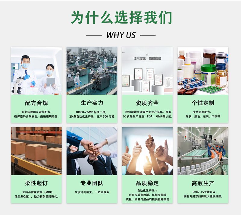 定制贴牌一水肌酸粉oem 健身乳清蛋白粉蛋白质补充剂500克代加工