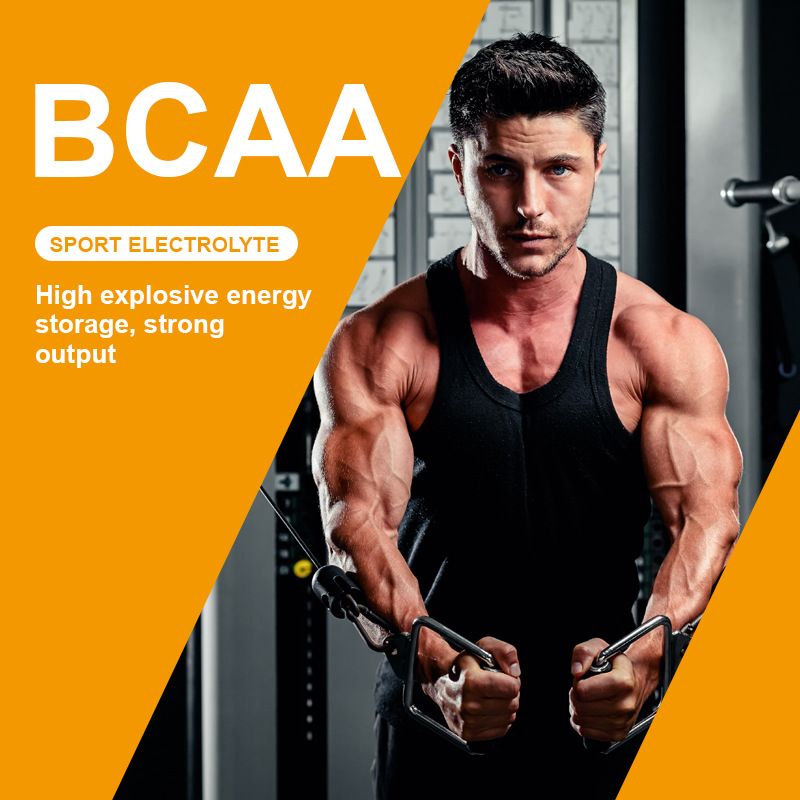 SPORTEL Elektrolyt BCAA Molkenprotein 300g
