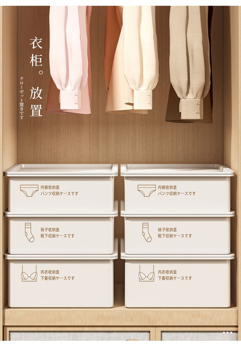 Underwear and sock storage box, 3-compartment