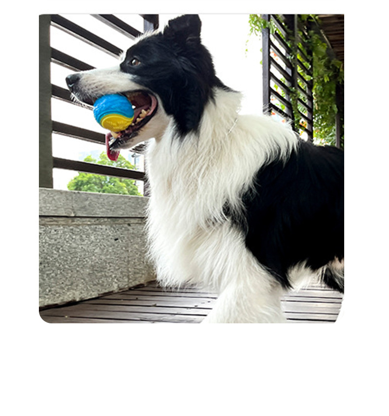 Köpek oyuncak topu, TPR, C-şekilli, ses çıkaran