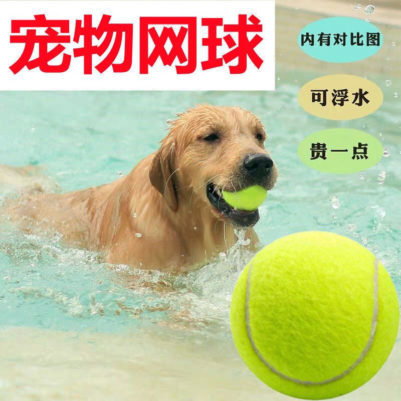 宠物玩具狗狗橡胶球解闷互动耐磨玩耍狗玩具宠物用品批发厂家