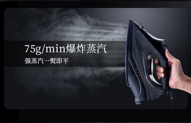 AFC Ceramic Handheld Electric Steam Iron, Portable