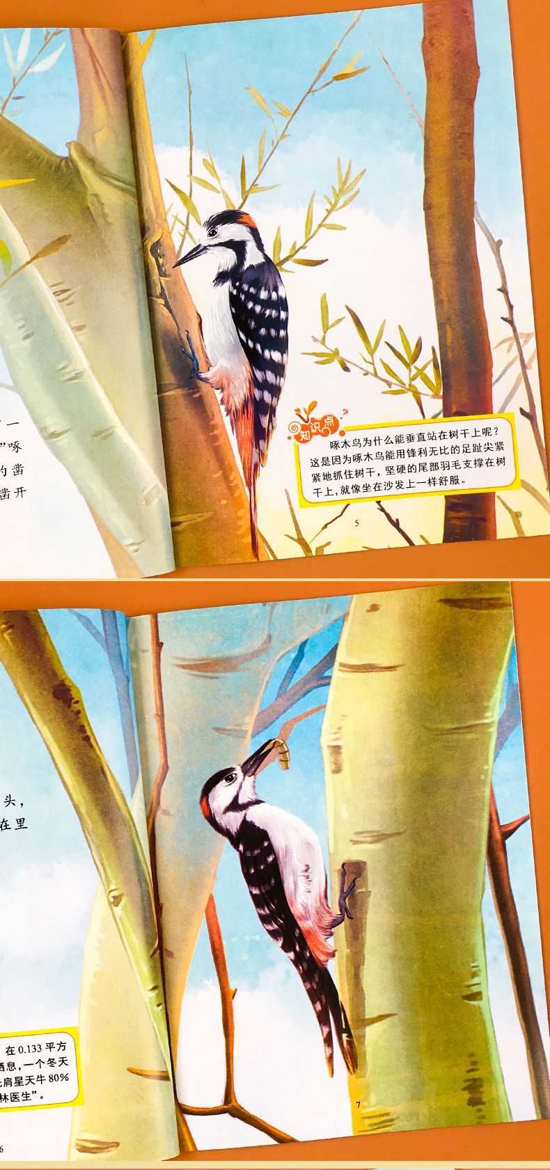 Anaokulu Komik Hayvan Resimli Kitap Çocuk Ansiklopedisi Popüler Bilim Ebeveyn-çocuk 3-6 Yaş Arası Çocuklar için Hayvan Dünyasını Okuma