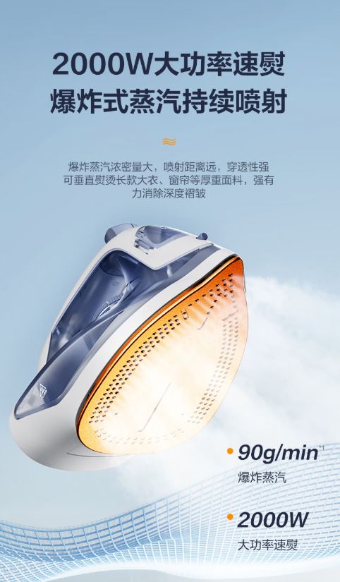 Supor wet and dry steam iron