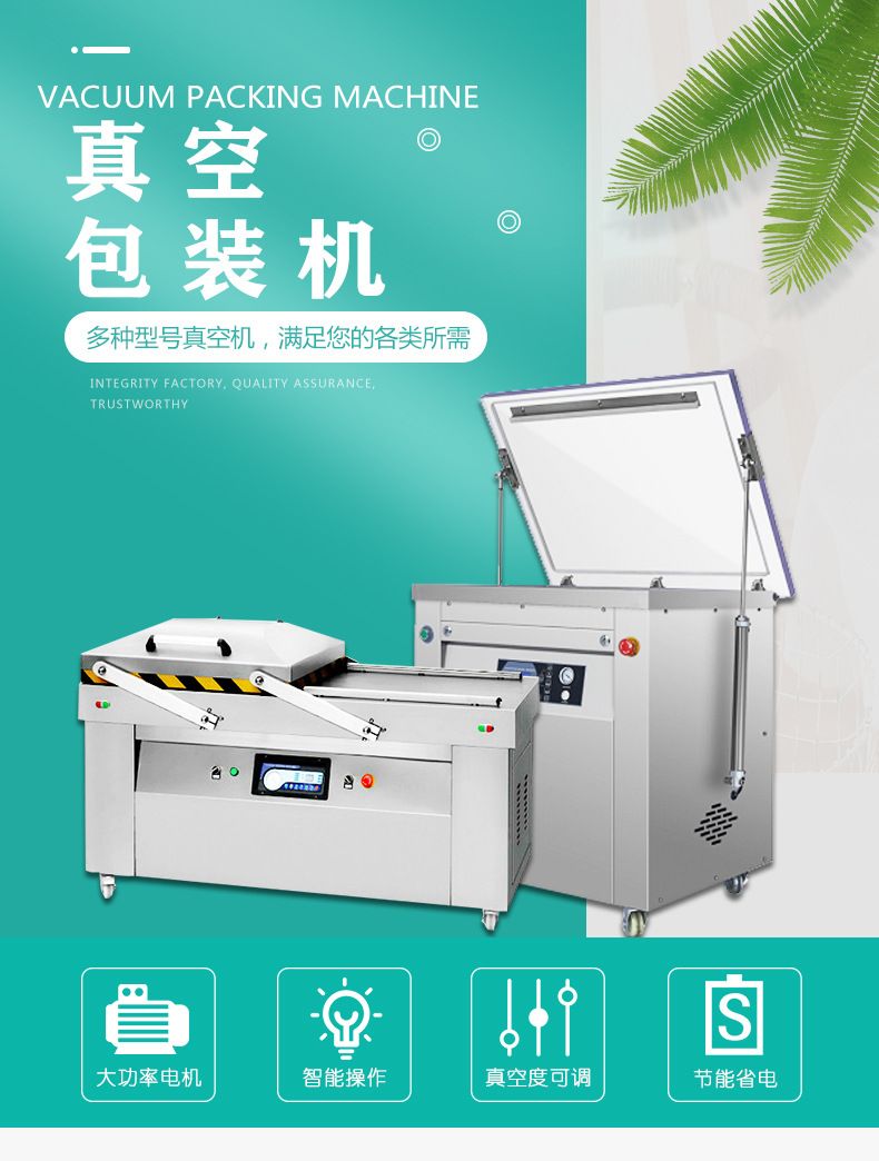 Vakum paketleme makinesi 600 dış pompa