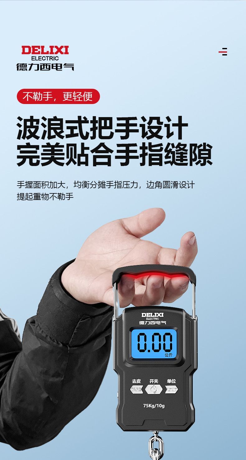 Delixi portable electronic scale