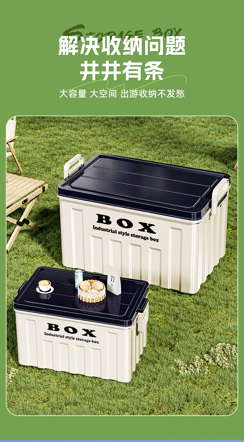 Aufbewahrungsbox große Kapazität, Kunststoff mit Deckel und Griffen