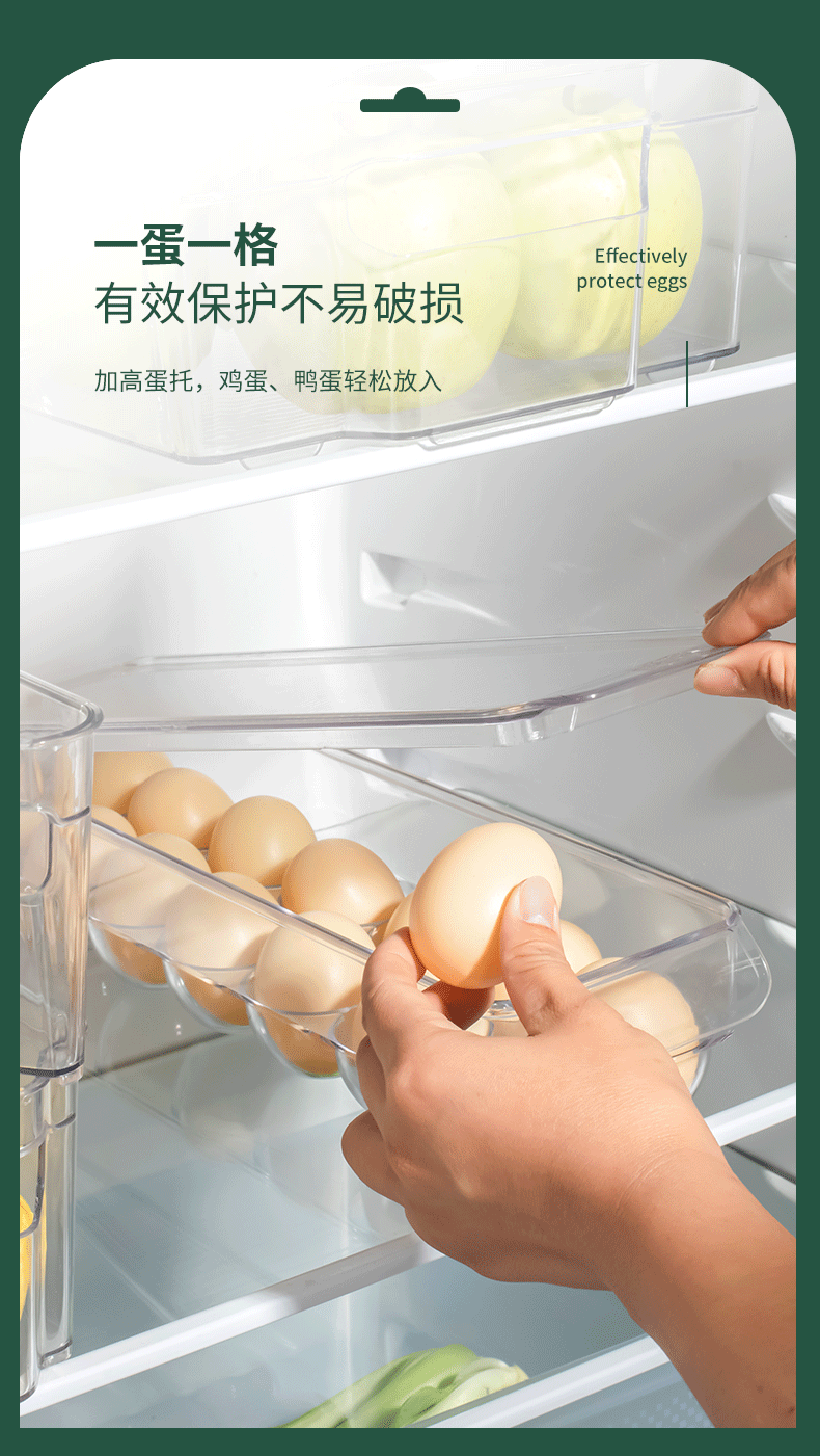 Refrigerator storage boxes PET transparent, 8-piece set for fresh produce