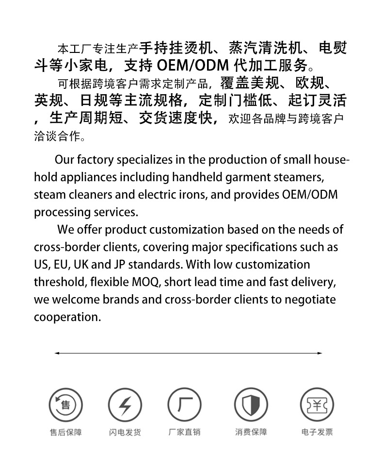 Portable handheld steam iron travel household