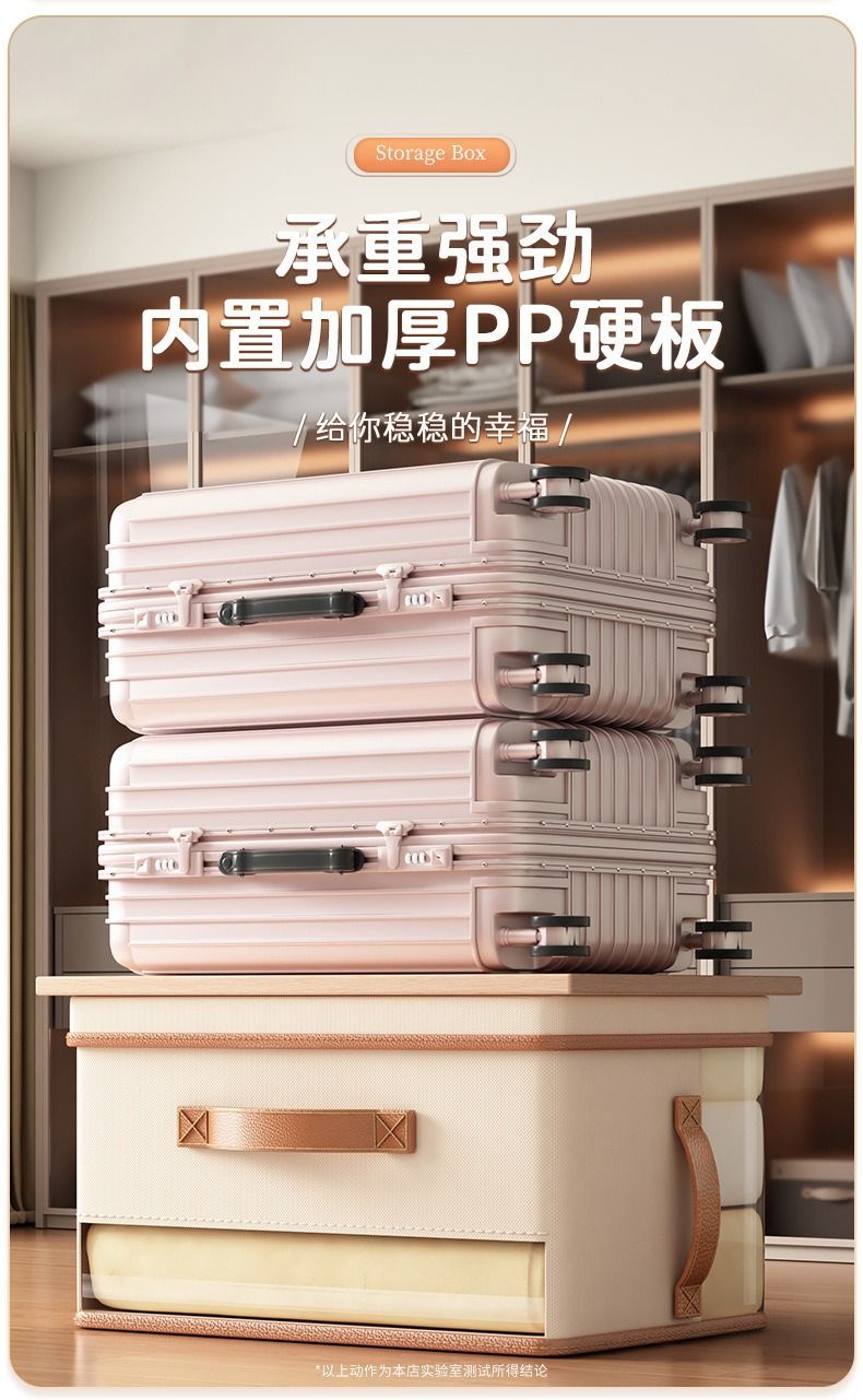 Bag Storage Box Large Capacity