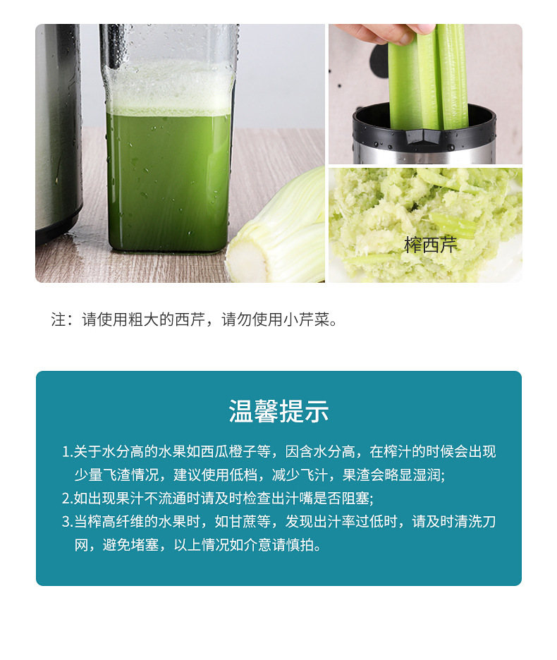 Fruit juicer, fully automatic, large-capacity, commercial