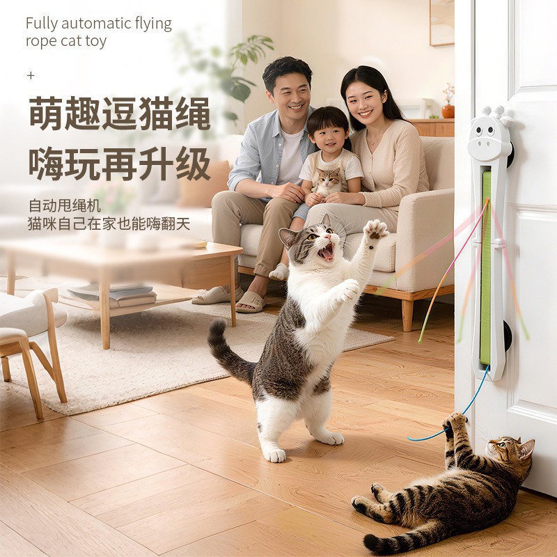 Automatic cat teaser toy, door-mounted with moving rope mechanism