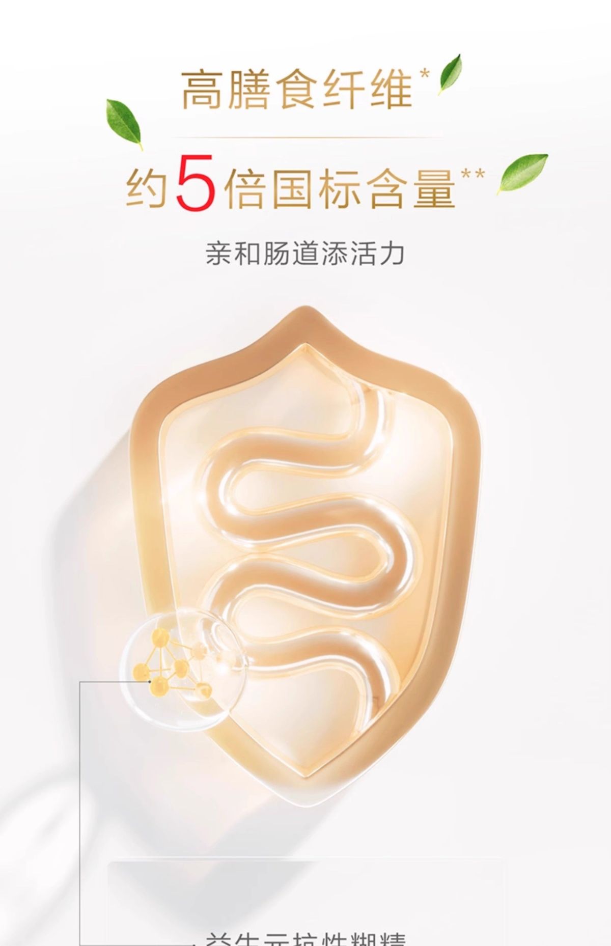 Plant protein powder soy and pea, for men and women