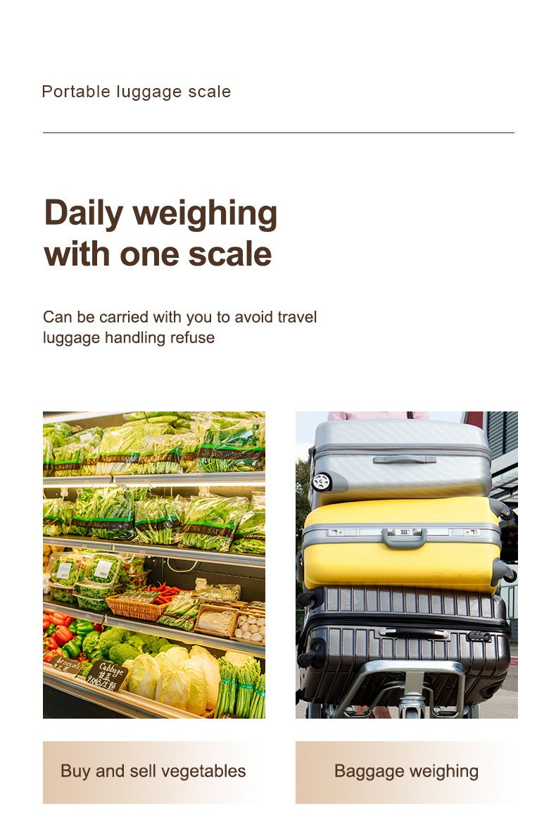 Portable Luggage Scale with Hook, High Precision