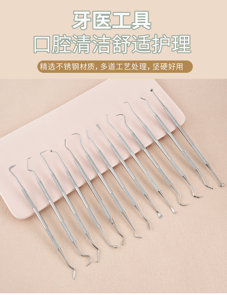 Stainless Steel Dental Cleaning Tool Set