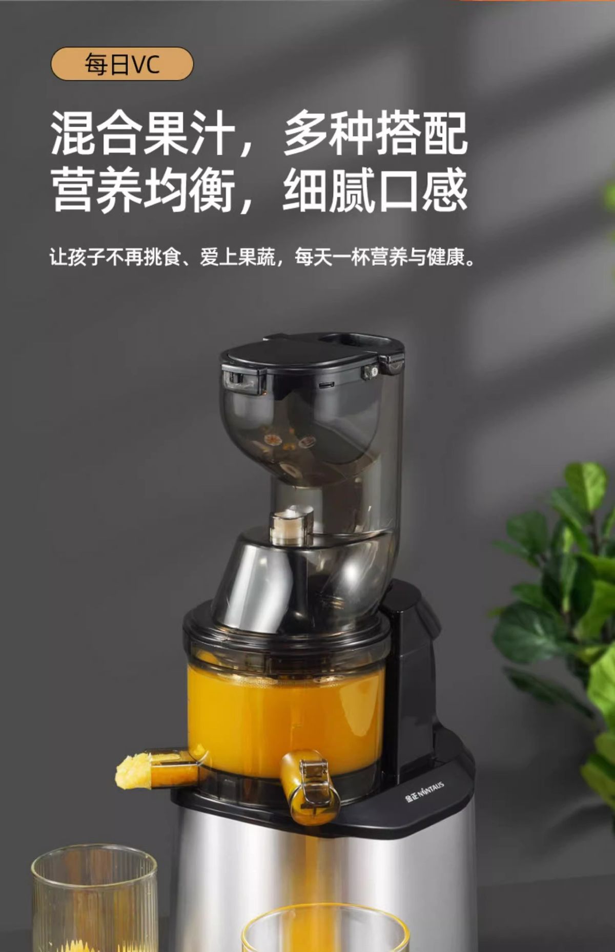 Jinzheng tam otomatik sebze meyve sıkacağı, soğuk sıkma