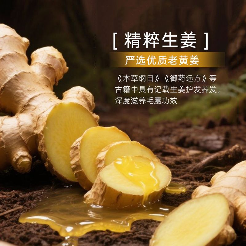 爆款热卖生姜洗发水修护发根干爽控油去屑蓬松温和洗发水厂家直销