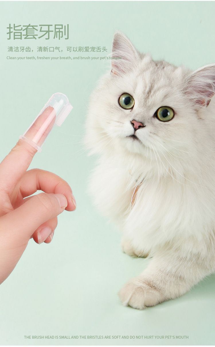 Pet toothpaste and toothbrush set for cats and dogs