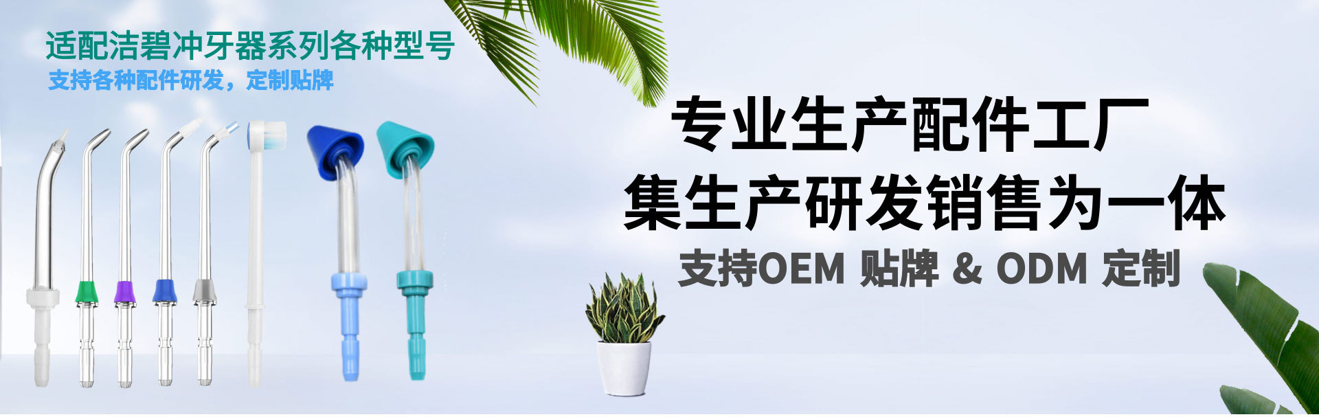 冲牙器喷头适配洁&碧Water-pik洗牙器标准水牙线喷嘴WP-100牙刷