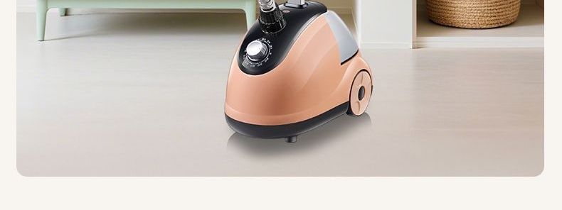 Steam hanging garment steamer multifunctional vertical