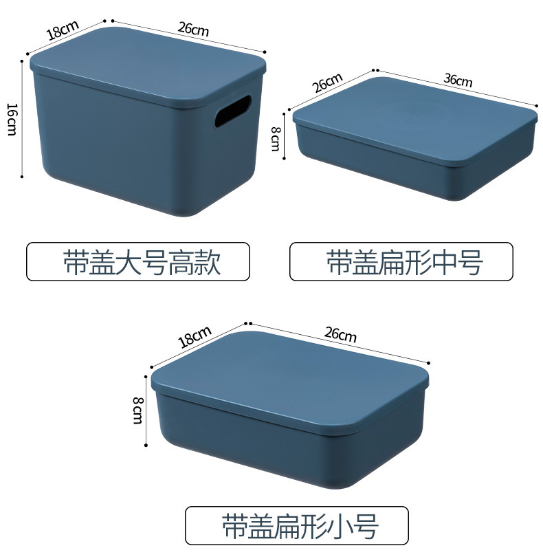 Plastic Storage Box, Large Capacity