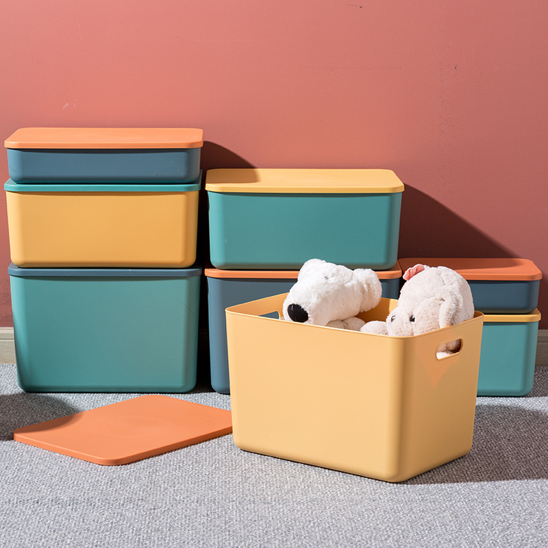 Plastic Storage Box, Large Capacity