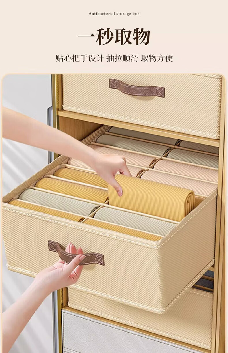 Foldable Double-Row Pants Storage Box