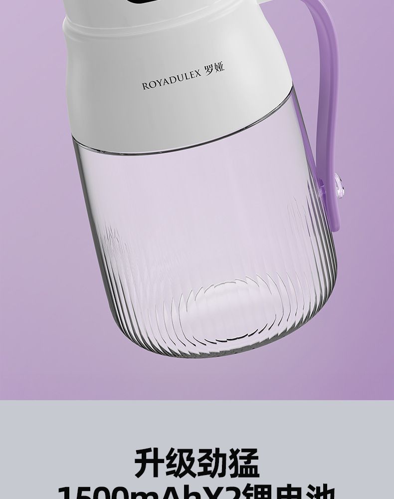 Fruit juicer, portable, large capacity