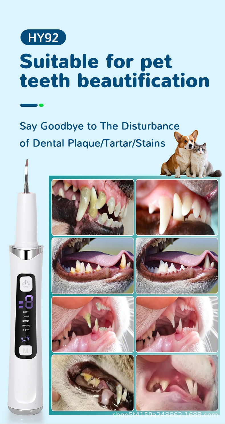 Ultrasonic dental scaler, portable, household