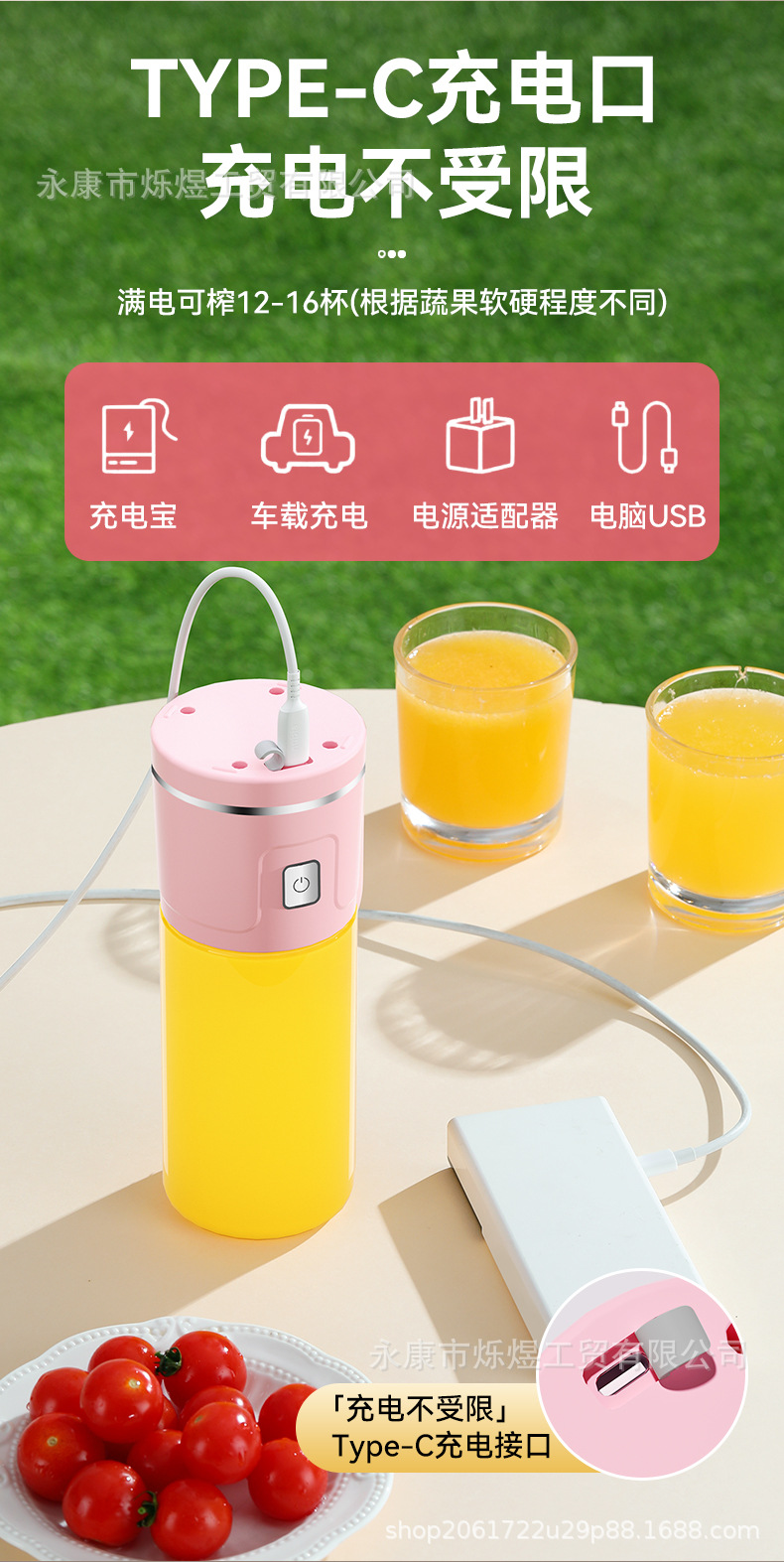 Portable Electric Blender Cup with Ice Crusher