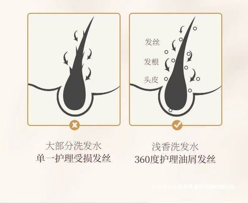 Qianxiang amino asit şampuanı, yağ kontrolü ve kepek giderici, long-lasting koku