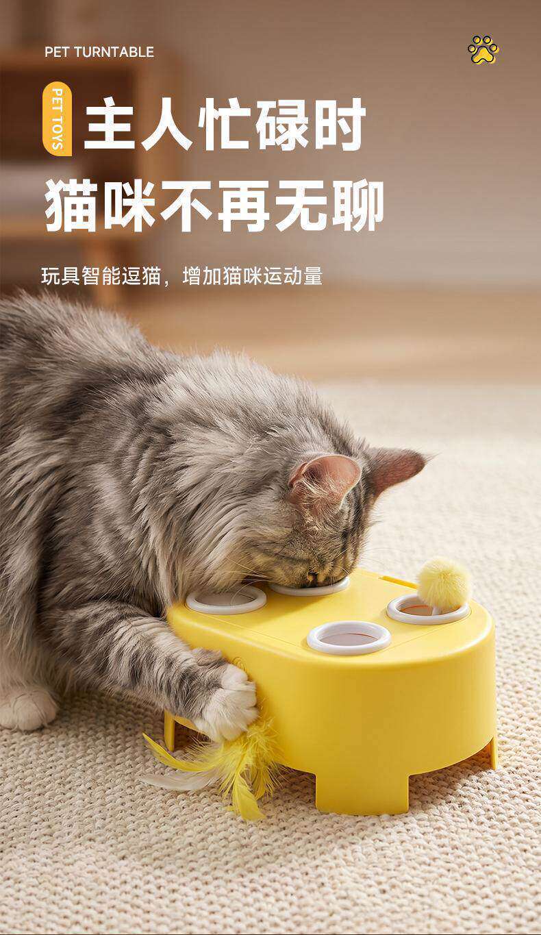 Cat toy, interactive, electric, multi-function