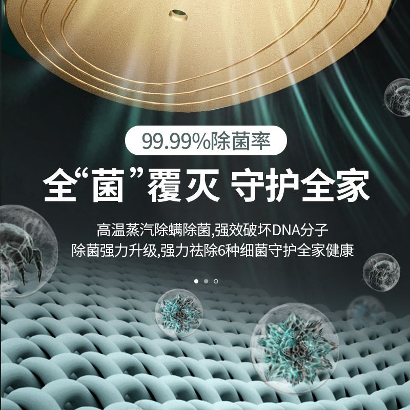 Handheld steam iron machine, portable