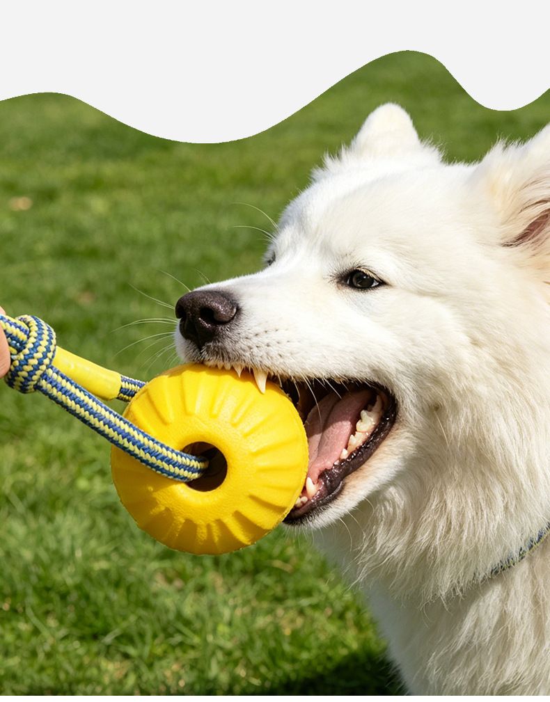 Köpek tug oyuncağı, orta/büyük irk, interaktif