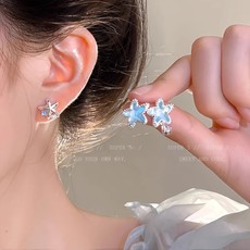 Luxus-Zirkonia-Ohrringe Kreisform, klassischer Stil für Damen