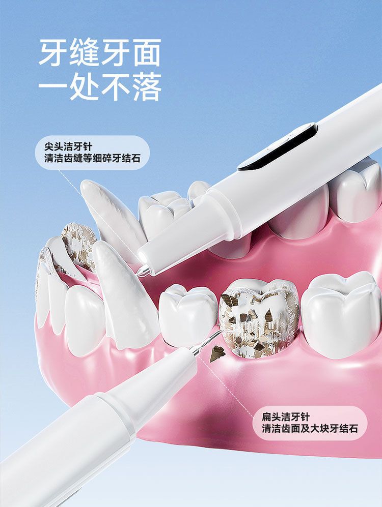 Pet electric toothbrush, dental cleaner and polisher