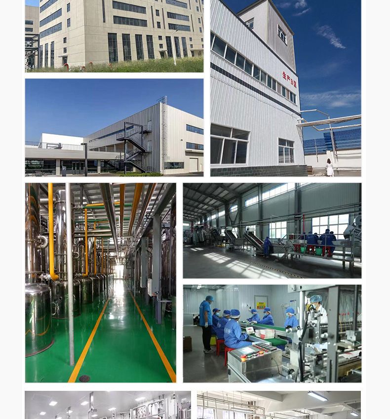 Yumurta proteini tozu, yüksek köpüklü protein tozu fabrikadan doğrudan tedarik, yumurta beyazı özü besin arttırıcı, ücretsiz kargo ile hazır stok