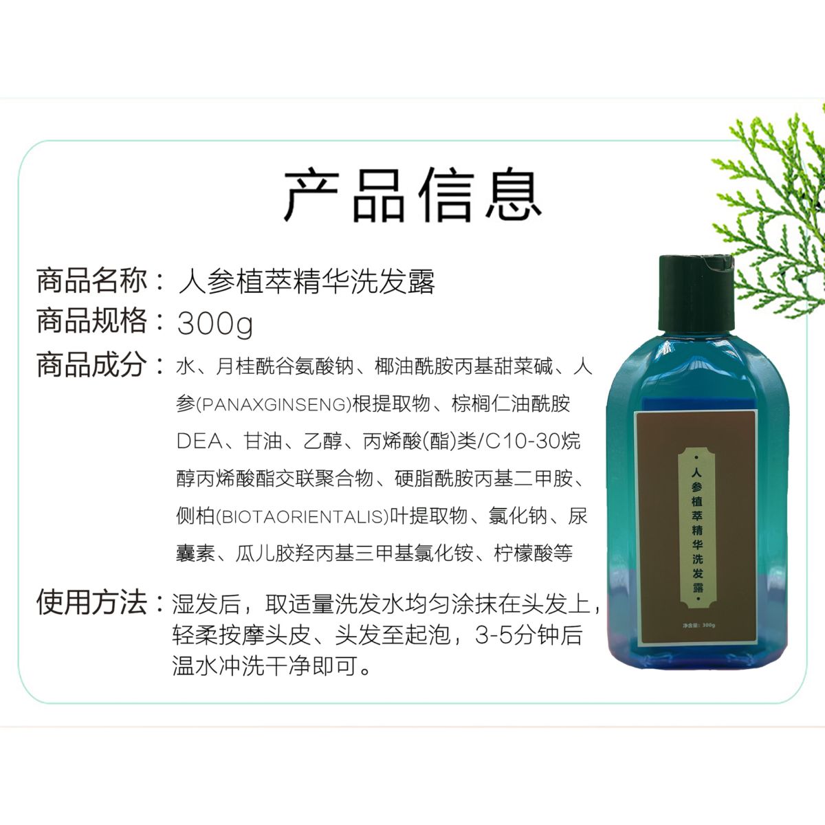 Polygonum multiflorum shampoo, anti-dandruff and oil control