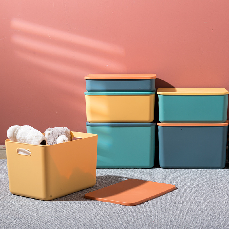 Plastic Storage Box, Large Capacity
