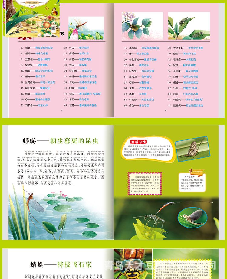 儿童百科全书中文注音有声读物大图大字动物世界科普启蒙海洋书籍