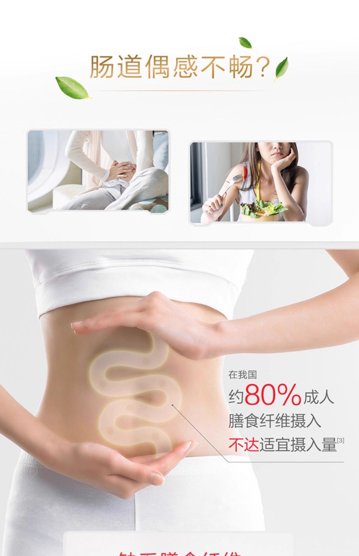 Plant protein powder soy and pea, for men and women