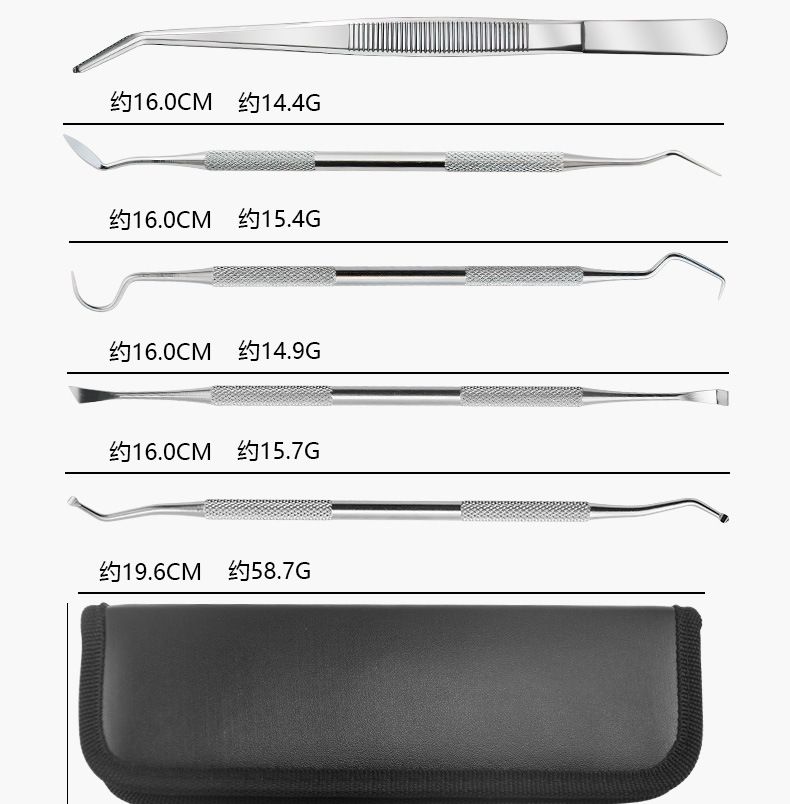 Dental care kit, stainless steel, 6-piece