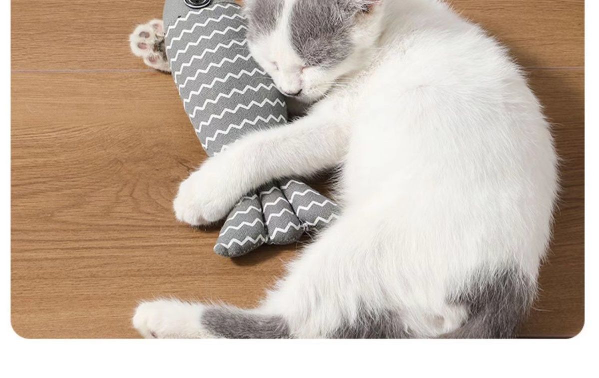 Kedi oyuncağı seti, kedi nanesi, balık tasarımı