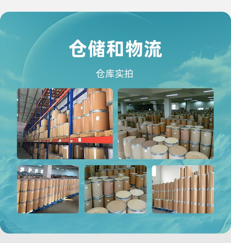 玉米蛋白粉60% 盛元泰供应食品级玉米提取植物蛋白粉 量大从优