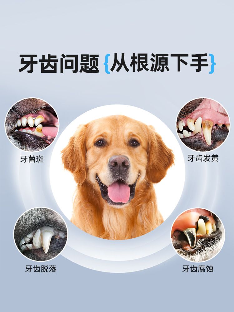 Ultrasonic Pet Teeth Cleaner Tartar Remover